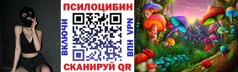 даркнет сайт  Муравленко  Галлюциногенные грибы Psilocybine cubensis 